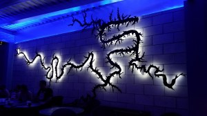 An outline of the Lake of the Ozarks at Backwater Jacks