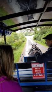 Carriage Ride Back from the falls
