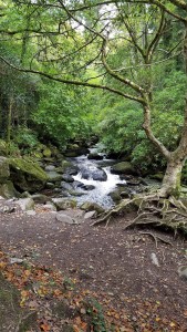 Torc Waterfall Killarney National Park