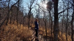 Cool trees on a nice day for a hike