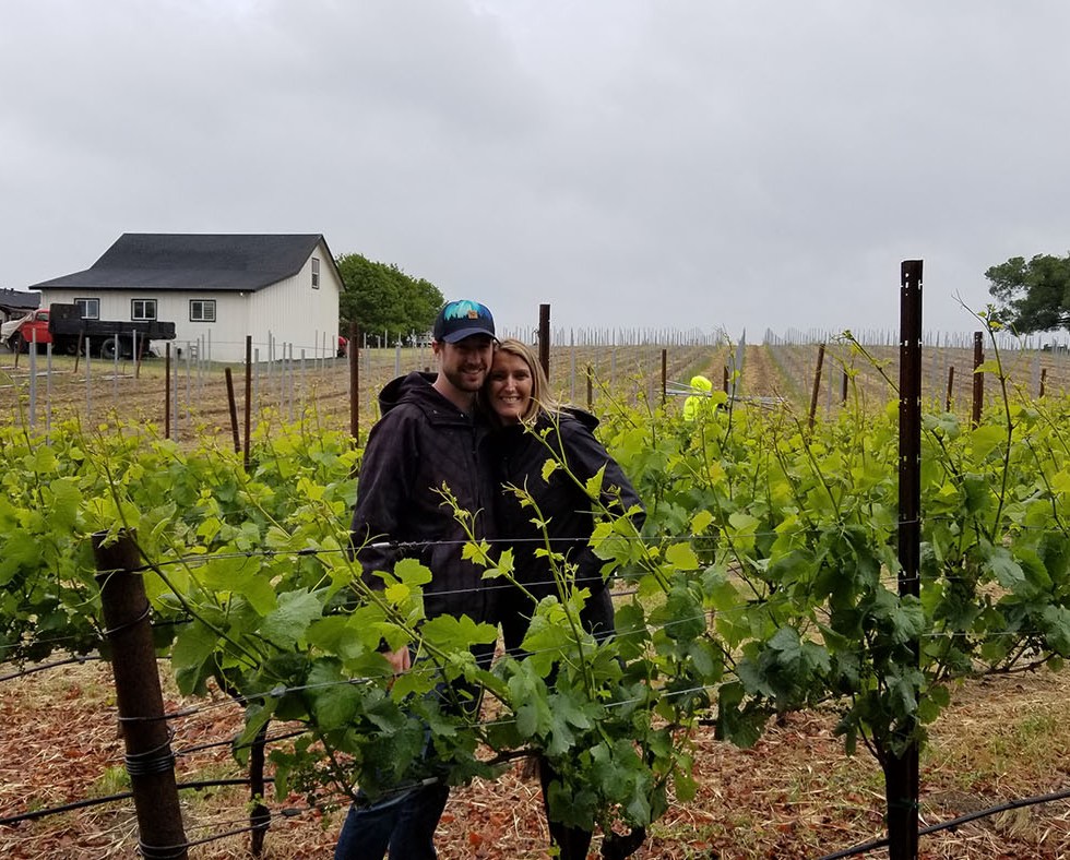 Grape vines at Martin Ray