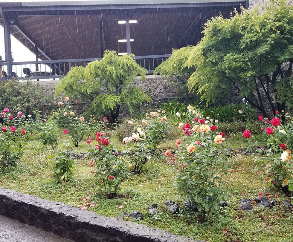 Simi rose garden