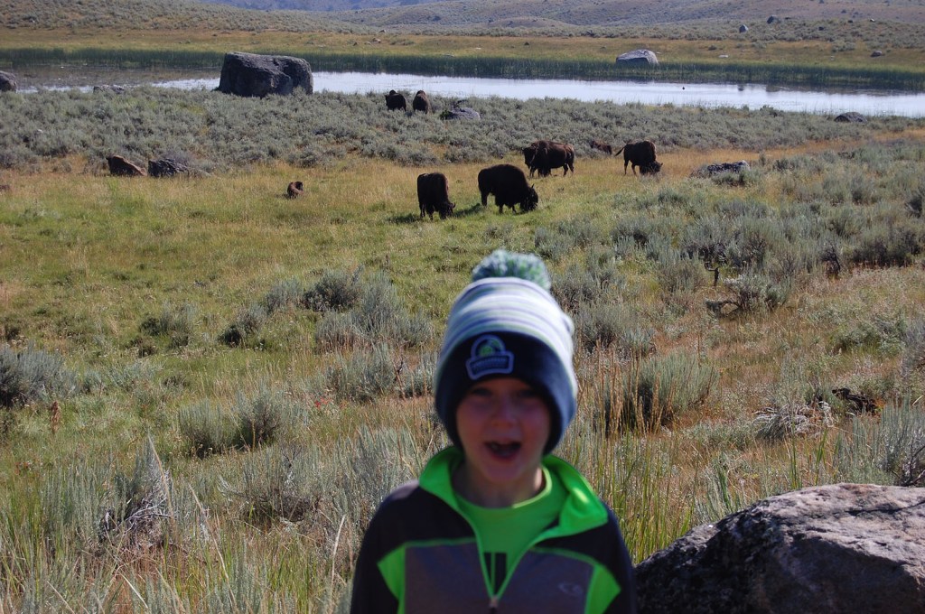 Mattix next to some bison near a pond
