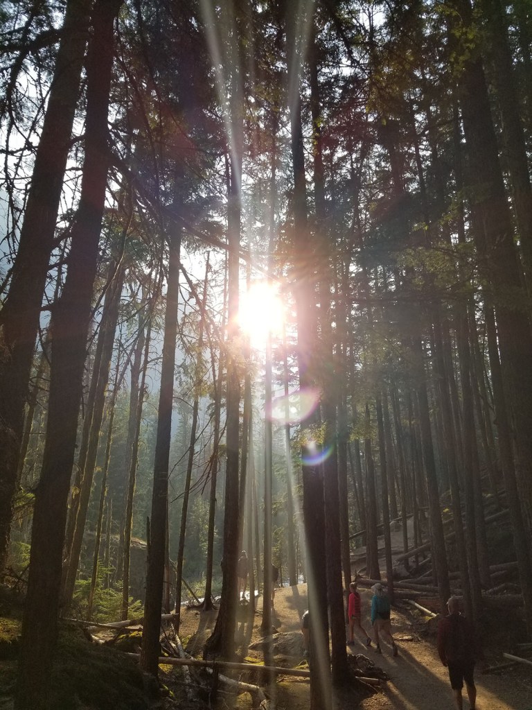 Taking the hike up through the trees on the trail