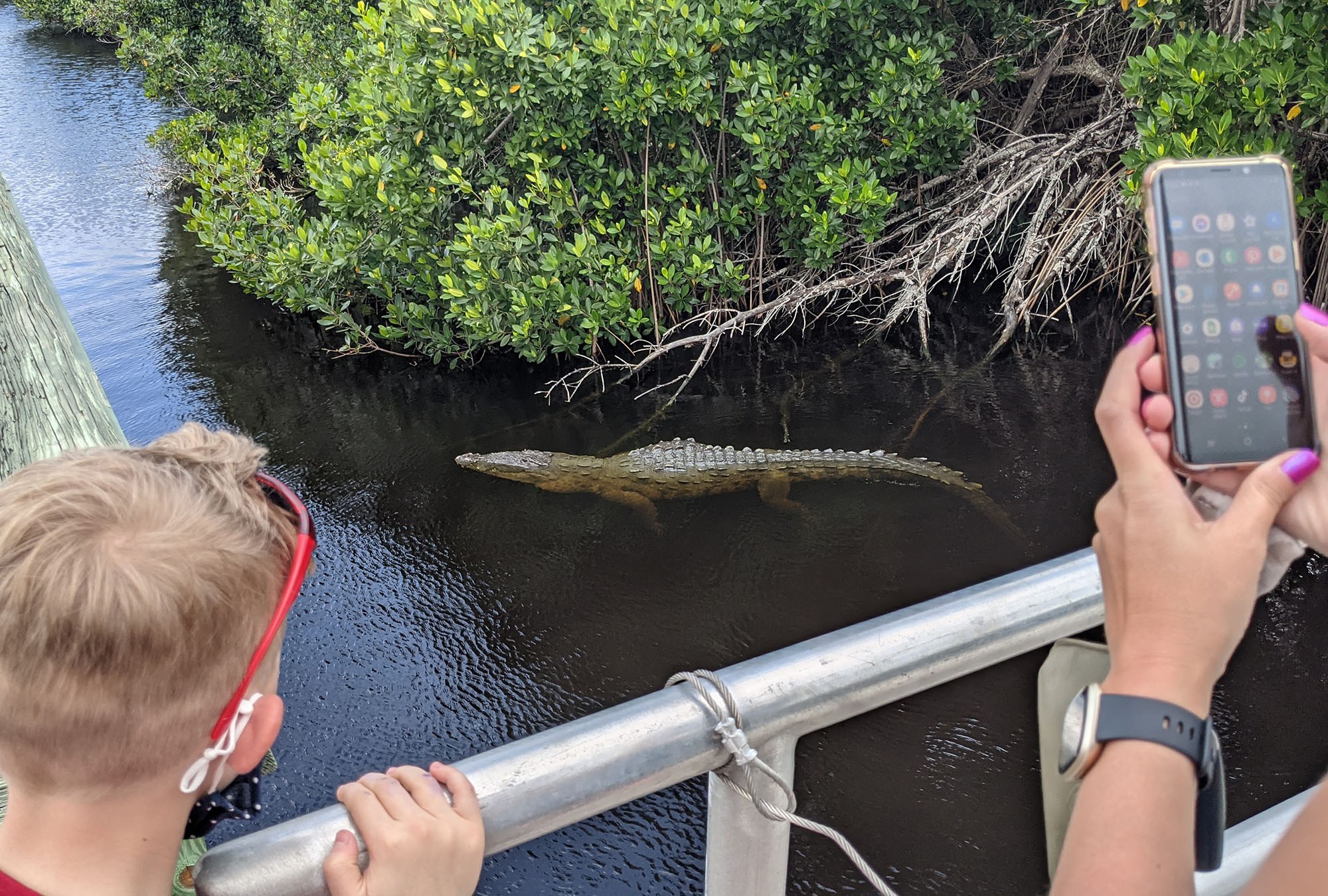 A group watching a large crocodile