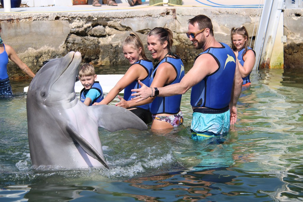Dolphin swims by with it's fin out for a high five