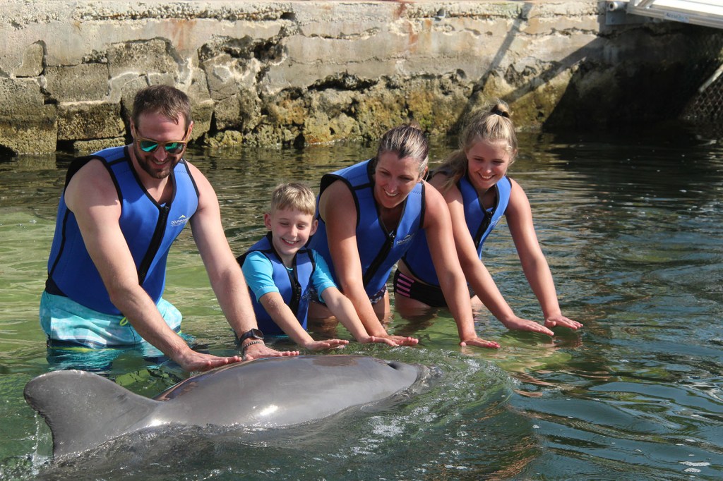 A family of 4 petting a dolphin