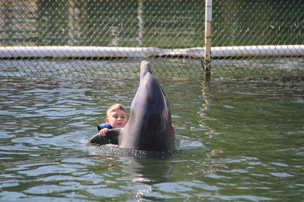 A boy holding a dolphins fins