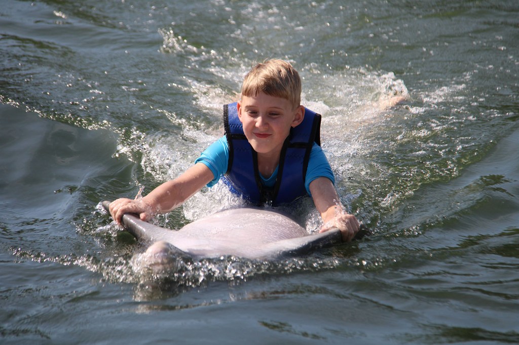 A boy getting a belly ride from a dolphin