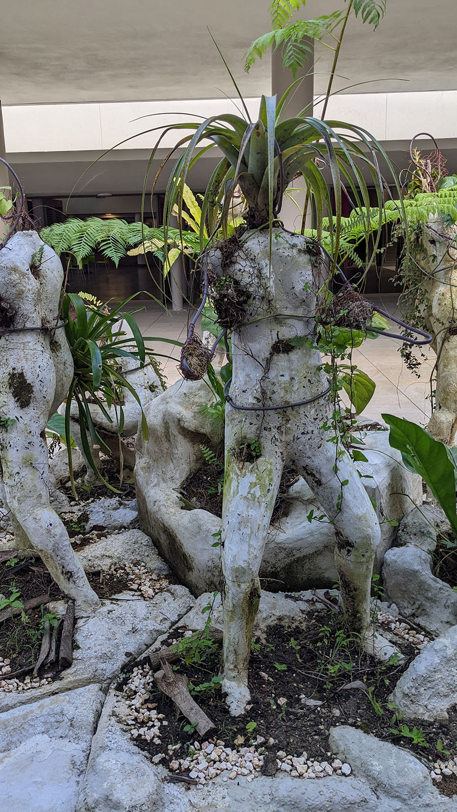 A sculpture with a plant for a head