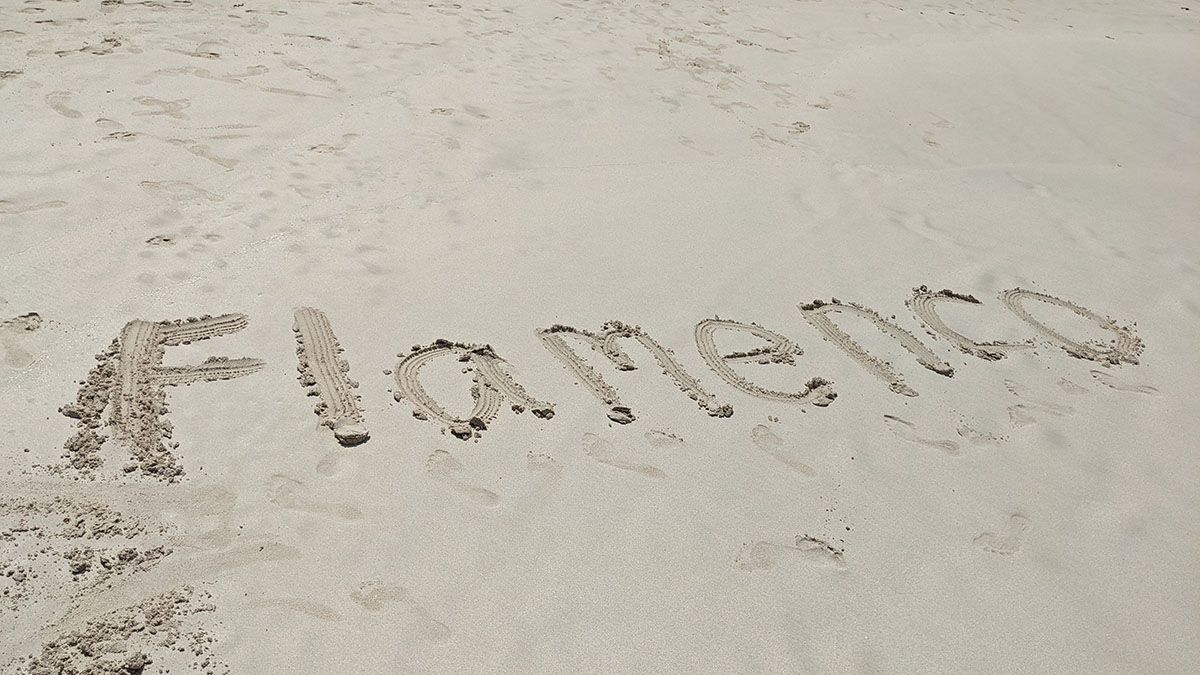 Flamenco spelled out in the sand