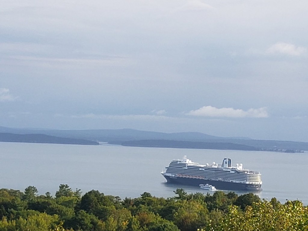 A large white cruise ship sits in a green island peppered ocean