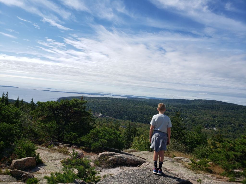 A young boy with a sweatshirt around his waist looks over a cliff at the millions of trees and the ocean
