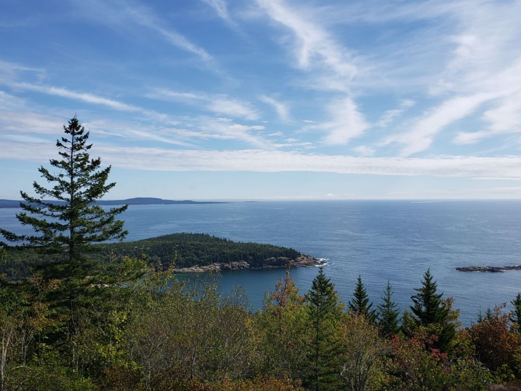 A peninsula peeks out from behind a bunch of evergreen trees