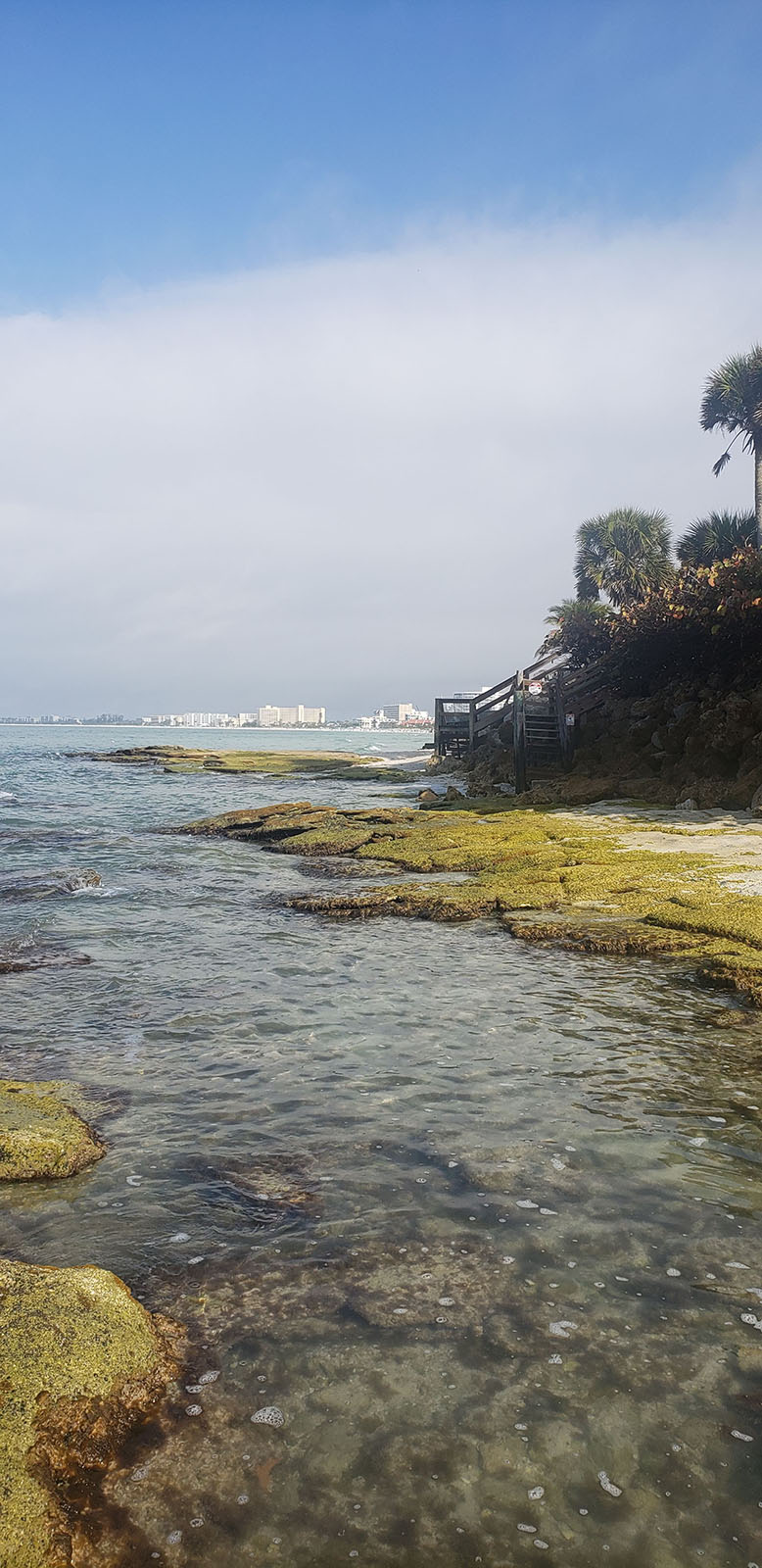 Point O Rocks Florida Siesta Key, Florida – Point of Rocks and Daquiri Deck – Love Live Connect