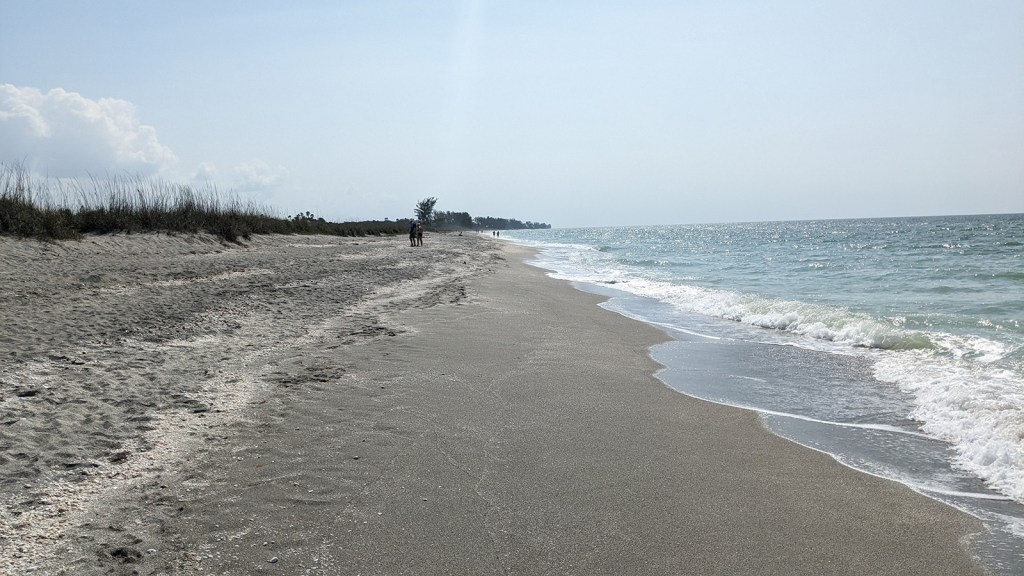 The view South of Palmer Point Park