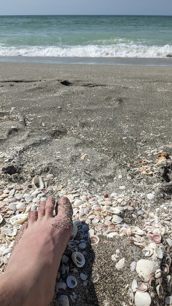 Sand on my toes around a bunch of sea shells.