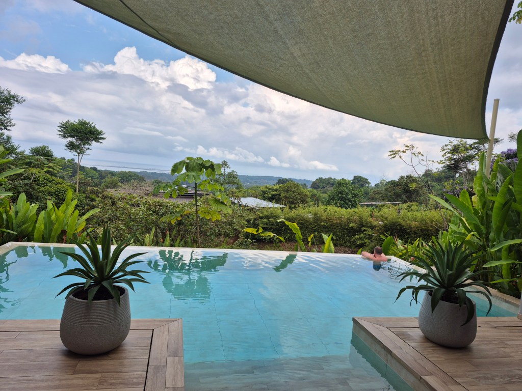 A man stands in the corner of the pool, water chest high, looking out over the jungle.