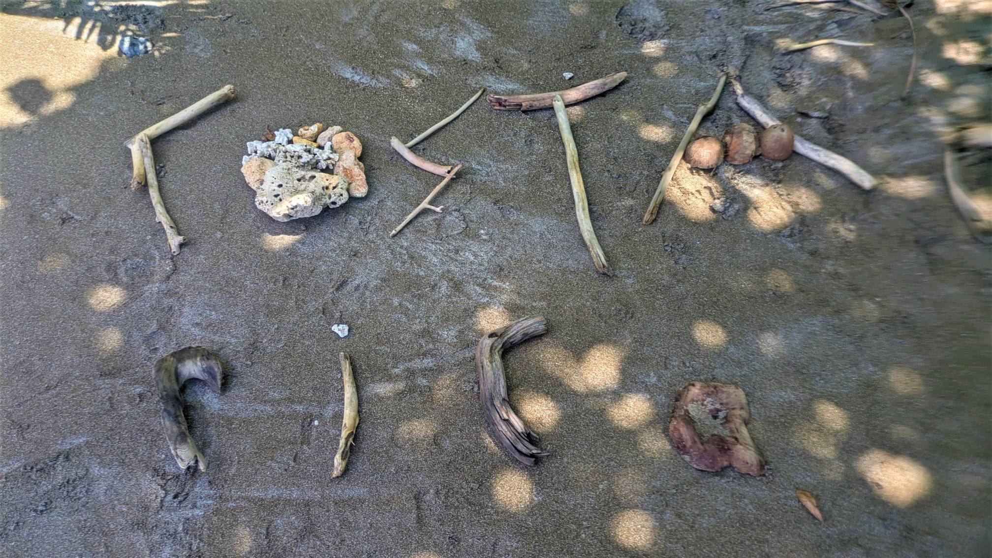 Costa Rica spelled out in driftwood, rocks, coral, and coconuts