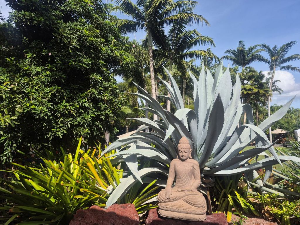 A statue of Buddha at the South Maui Gardens