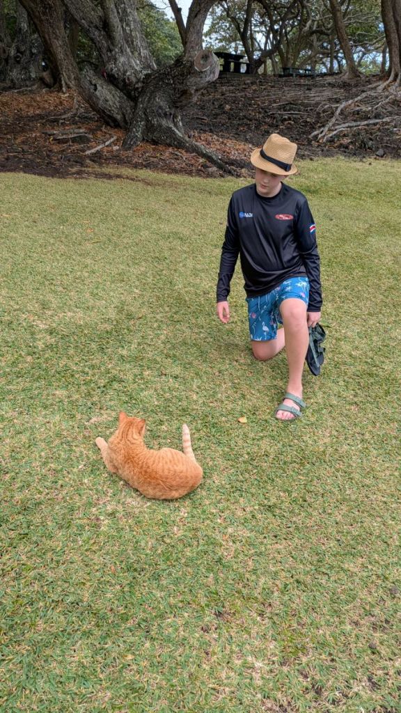 Mattix attempting to get close enough to an orange cat to pet it.