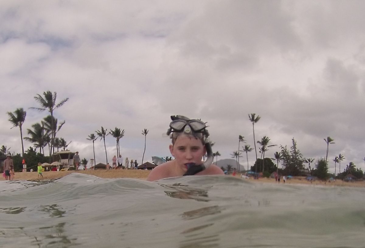 A boy pops his head out of the water with a snorkel and mask on his face.