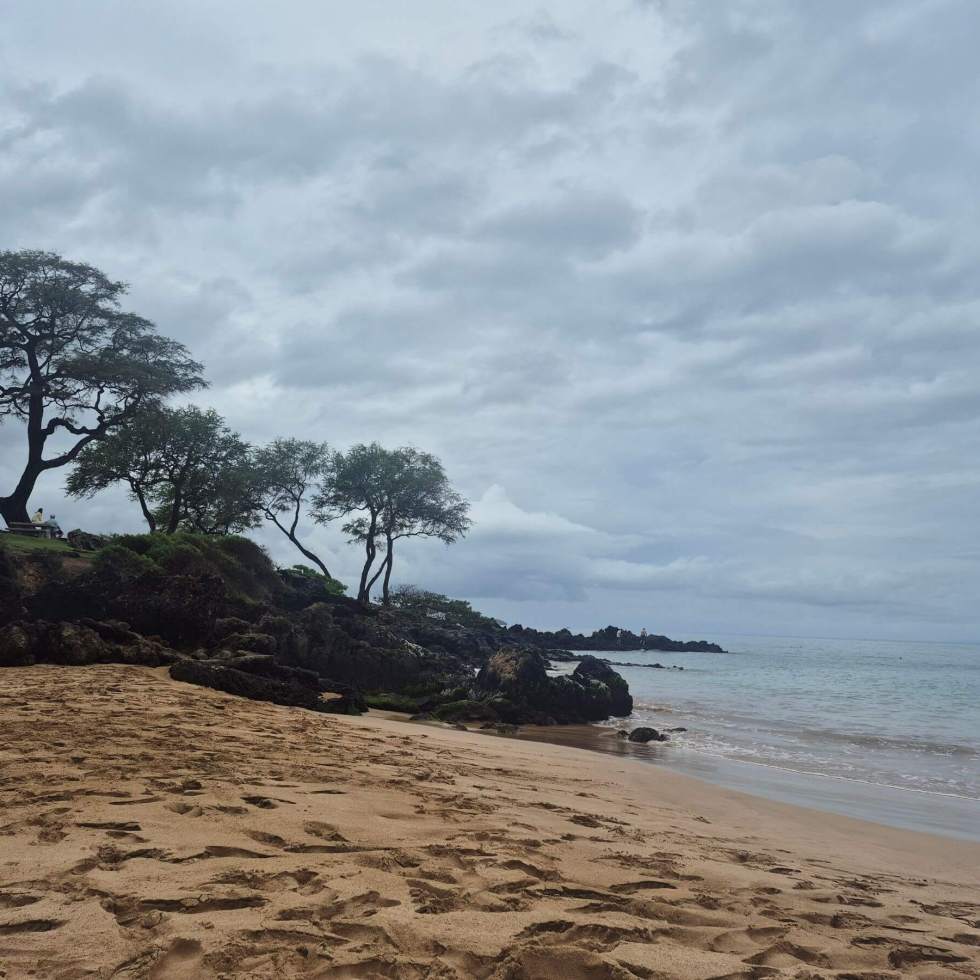 Kamaole Beach Park II - black rocks holding a few trees sits atop a sandy beach along the pacific ocean on a gloomy day