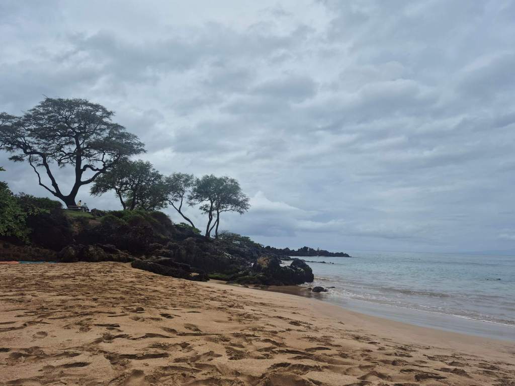 Kamaole Beach Park II - black rocks holding a few trees sits atop a sandy beach along the pacific ocean on a gloomy day