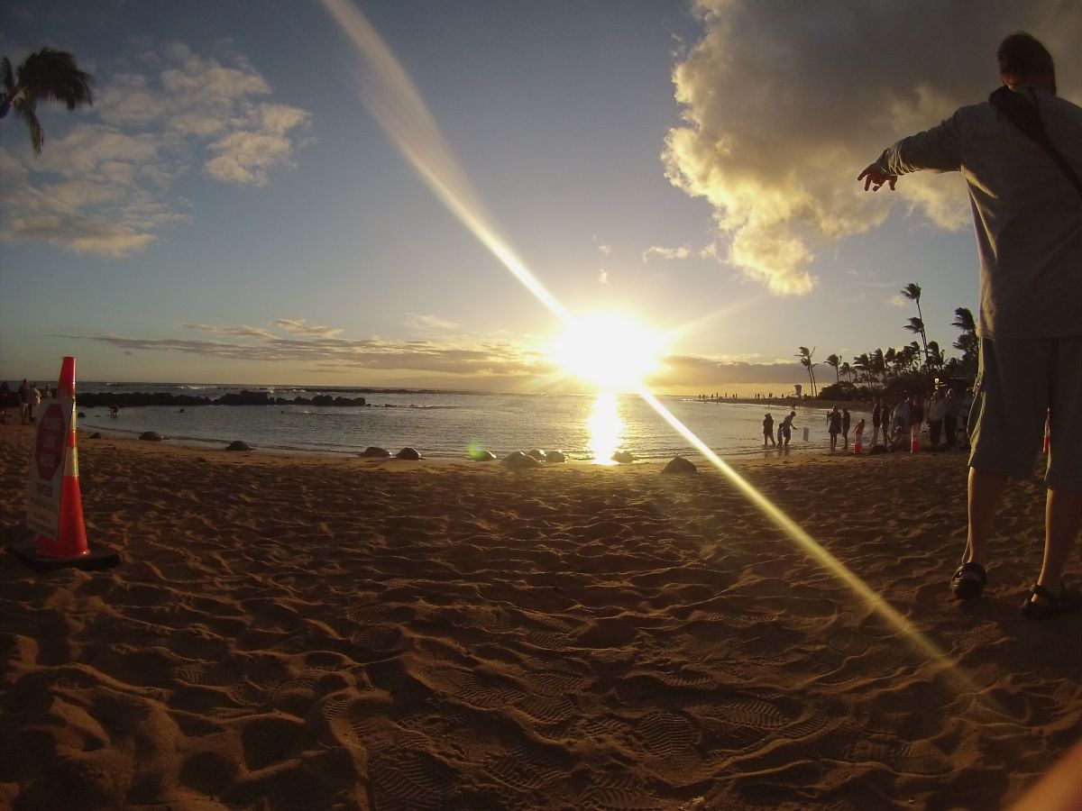 A man points to the turtles on the beach as the sun sets over the ocean.