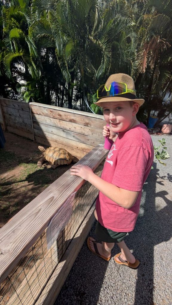 A boy in a hat and sunglasses stands beside a fence holding in at tortoise.