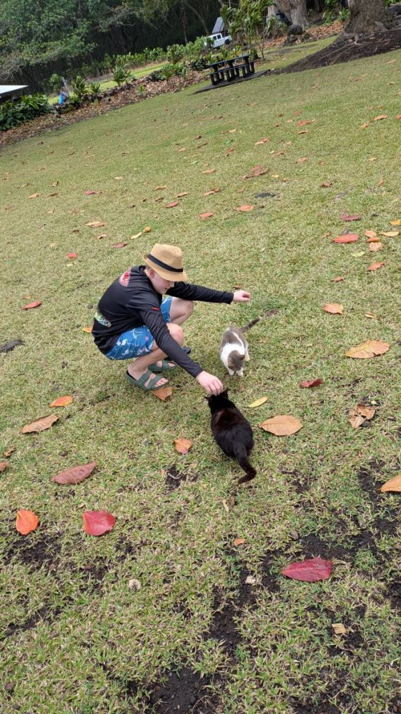 Mattix petting a white and grey cat to the left and a black cat to the right.