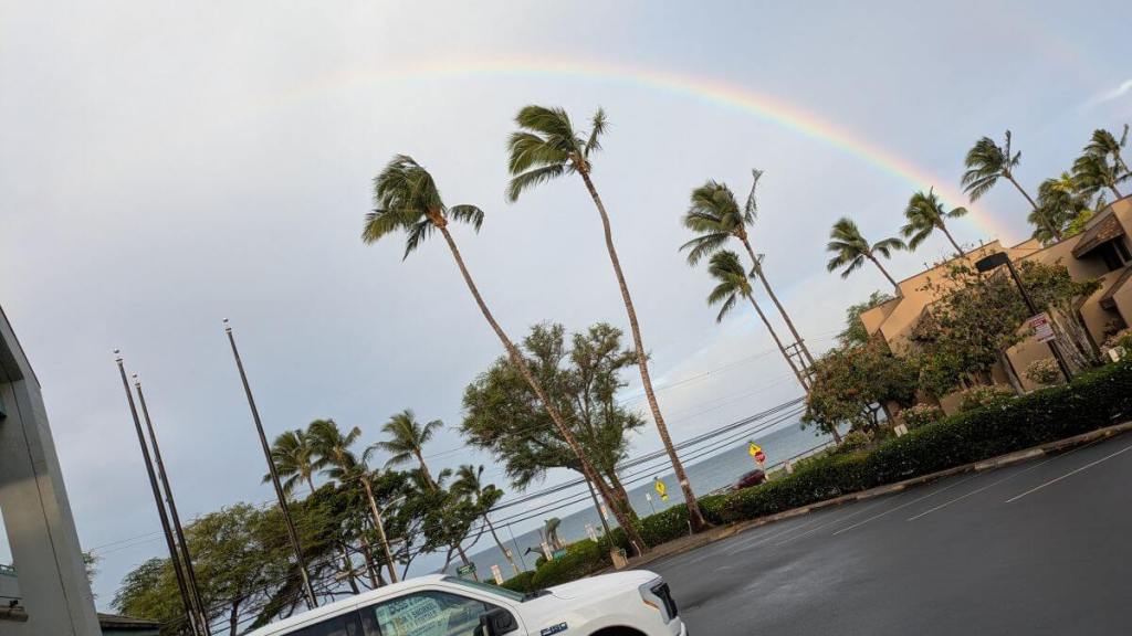A rainbow shows it's color over a parking lot with palm trees in the distance.