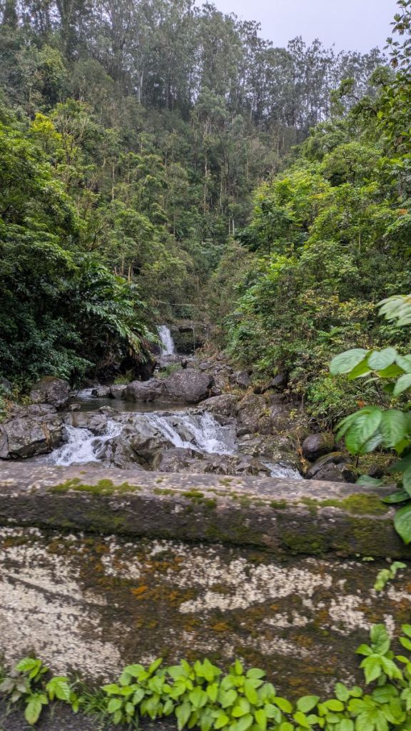 Road to Hana trickling falls next to the road.