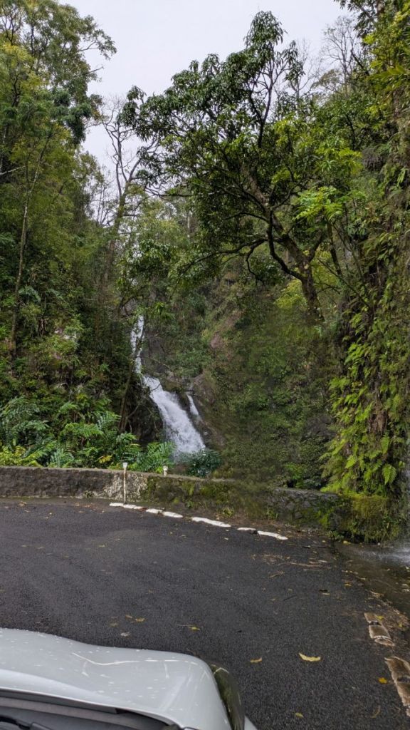 Road to Hana waterfall next to the road.