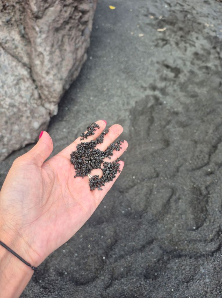 A hand full of tiny pebbles that make up the black sand on the beach.