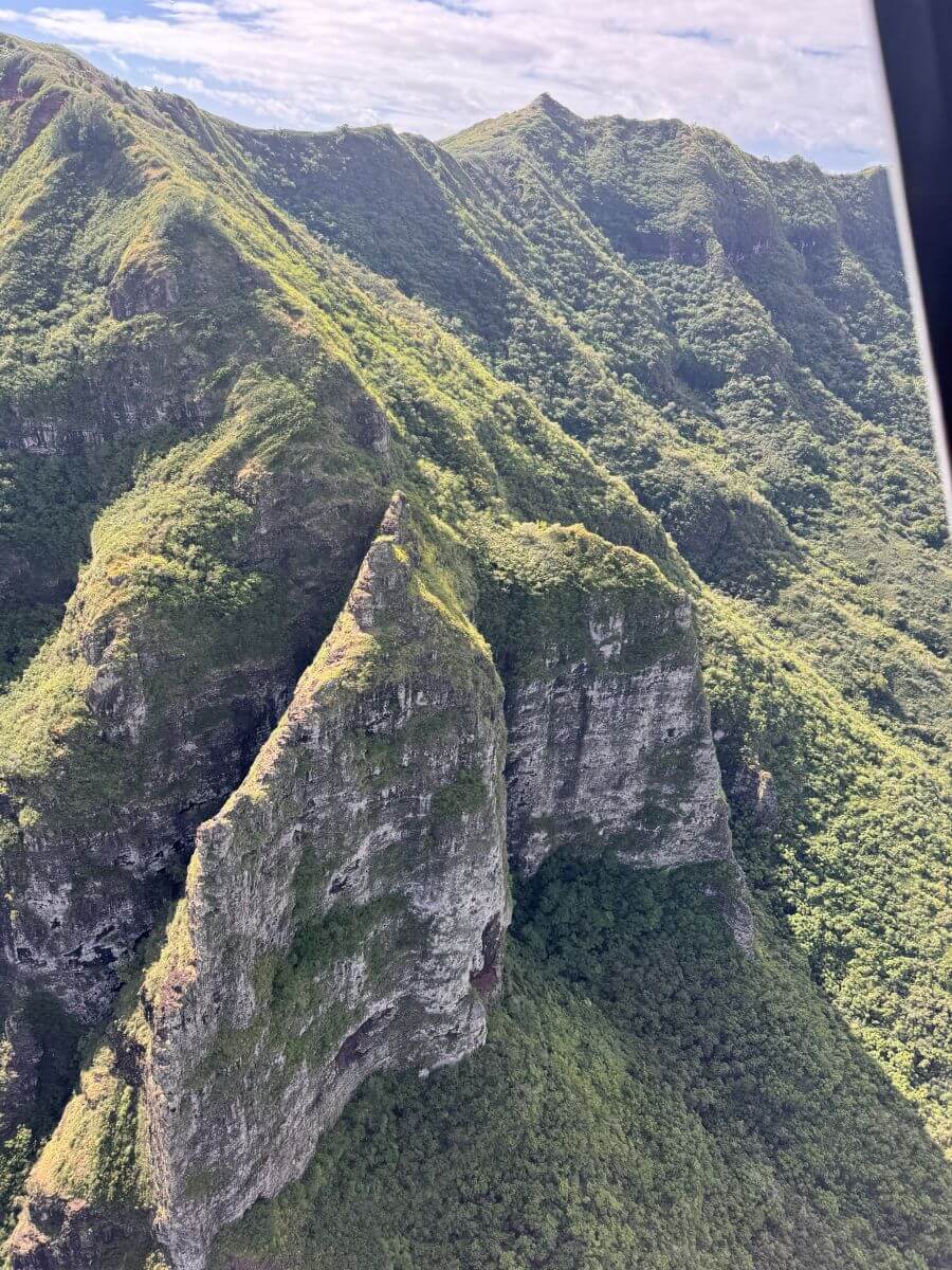 A rare rock face peeks through the endless green mountains